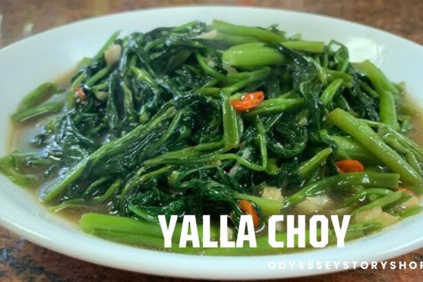 Yalla Choy