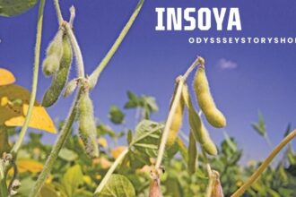 Insoya