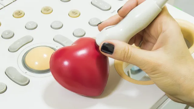 Echocardiograms for Patients with Heart Disease
