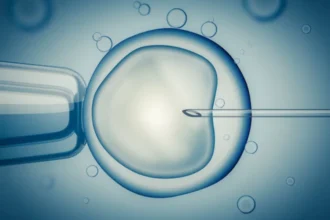 In Vitro Fertilization